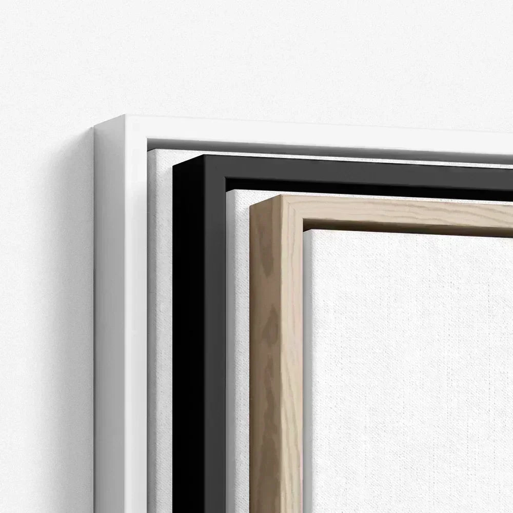 canvas frames